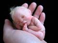 樹脂粘土で作った赤ちゃん OOAK clay baby sculpt No.3