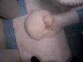 videos de The Lost Videos Of Booger: I Gotta Go Again!