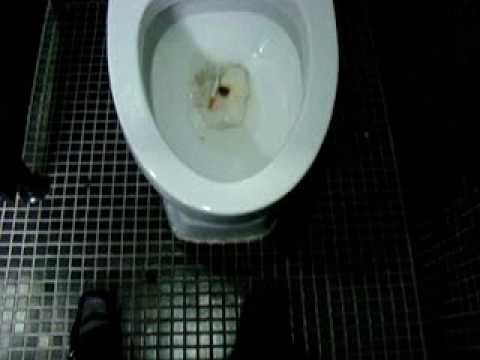 how to unclog an energy efficient toilet
