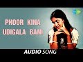 Download Phoor Kina Udigala Bani Oriya Song Trupti Das Geeta Patnaik Mp3 Song