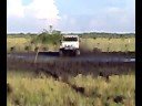 Apure cunavichito