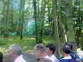 German/British woodland para battle War & Peace 2008