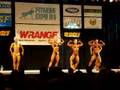 Finnish Bodybuilding Championships 2006, women pre