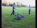 Just a day at the park! Just a day at the park!