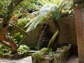 Fotos lindas em sintra