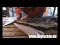 Heilbutt filetieren / Fillet a Halibut