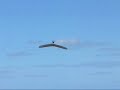High Speed