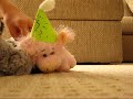 Happy Birthday Mr. mini TBM
