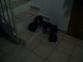 Crawler Stealth Gmade Crawler Stealth Gmade