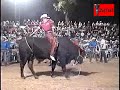 JARIPEO EN CUTO DE LA ESPERANZA