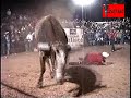 JARIPEO EN CUTO DE LA ESPERANZA