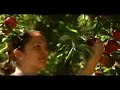 VISIT CHIHUAHUA MEXICO