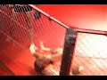 Mateusz Jankowski (No Limits Toru?) vs ?ukasz Lis (MMA Olszt
