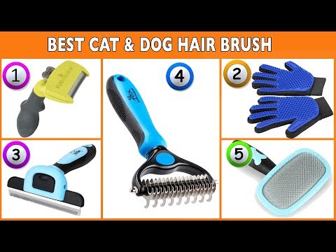 Best Cat & Dog Brush for Shedding - Top Cat & Dog Hair Brush Reviews