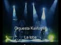 Cuarteto-la loba-shakira-orquesta kalifornia