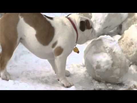 Ice boulders roll onto shores of Lake Michigan