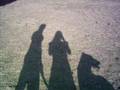 C:\Documents and Settings\Owner\My Documents\My Videos\best