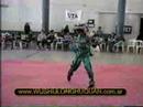 LHQ Wushu Trailer *Argentina*