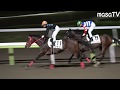 【４Ｋ現地撮影】2019年12月3日大井競馬８ＲＪＲＡ交流アーバンステージ師走賞アラウン＆藤田菜七子騎手８着