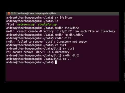 how to copy directory in linux