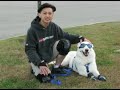 Heely Dogs - This is a short tutorial on safety on how to start skating hybrid with your dog.  Heelys are great because they let you keep control of your dog.  You can brake and handle your dog much better than other skates.Be safe - Have fun!  And check out www.heelychat.com for more info on Heelys.Some more tips:Find a smooth, clean street or parking lot.Use Megawheels or Big Deuces