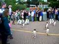 Penguin Parade (Edinburgh Zoo)