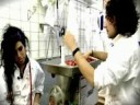 Popworld: Amy Winehouse Visits the Butcher\ Popworld: Amy Winehouse Visits the Butcher\