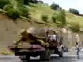 سلحفاة وجدت في شمال العراق