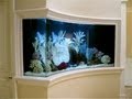 Custom Aquarium Builders