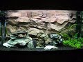 Aquarium
