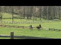 Lear Charm Schooling 2