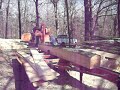 sawmilling