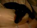 videos de P1080399.MOV