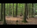 Der Bunker (Geocaching)