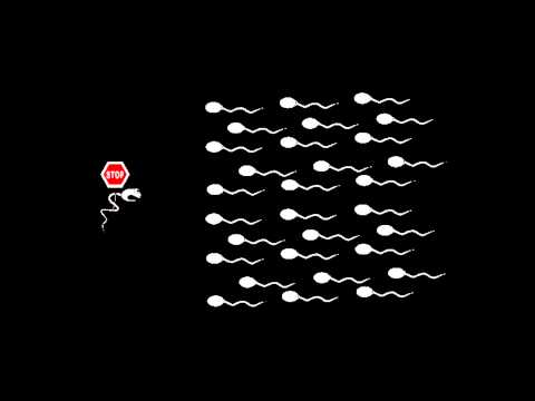 how to react to premature ejaculation