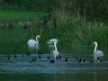 A Passion For Angling 2 - In Search of Salmon & Autumn Glory