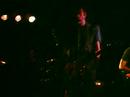 Wolf Parade- Shine A Light Black Cat DC Great Audio + Video