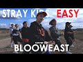 Blooweast - Stray kids - Easy