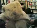 georgie the bear