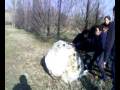 palla di neve