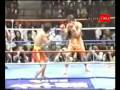 K-1 Seidokaikan Karate VS Sanshou