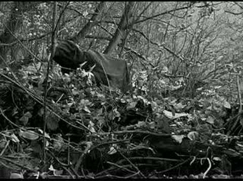 Rashomon