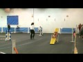 Sumo Runs Fast View Video