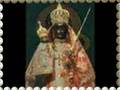 videos de THE JAMIE072 SHOW