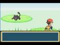videos de Pokemon Firered:The Beginning Part 1