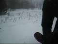 videos de Couch Sledding at Elver