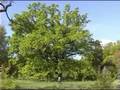 Park Krajobrazowy Dolina Baryczy 4/4