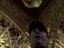Under the Tower Under the Tower