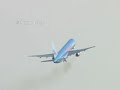  Thomson 263H Bird Strike In Manchester Airport airplane