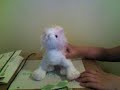 the funney webkinz news!!!! the funney webkinz news!!!!